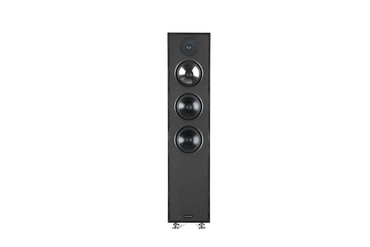 Sonus 3155 in brown